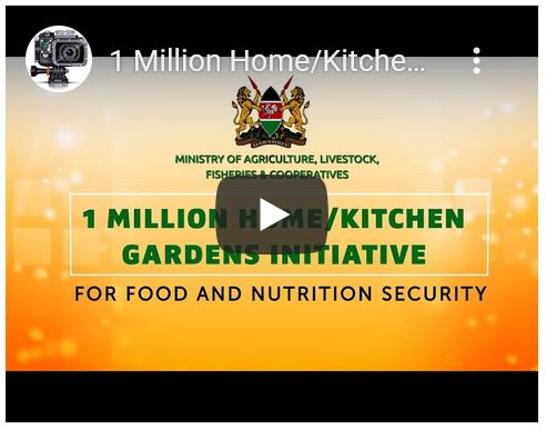 1 Million Home/Kitchen Gardens Initiative - Kenya